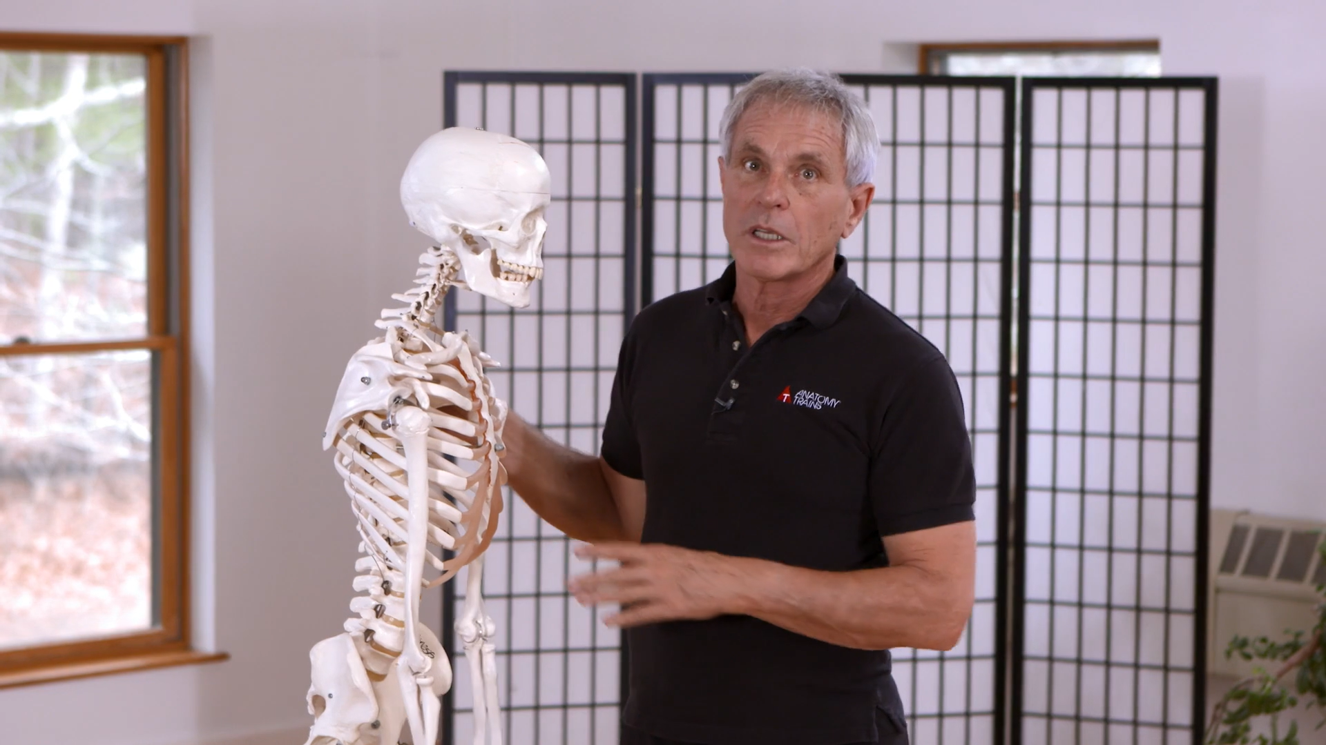 Fascia 201_14_Divisions Within the Fascial System DO NOT USE YET