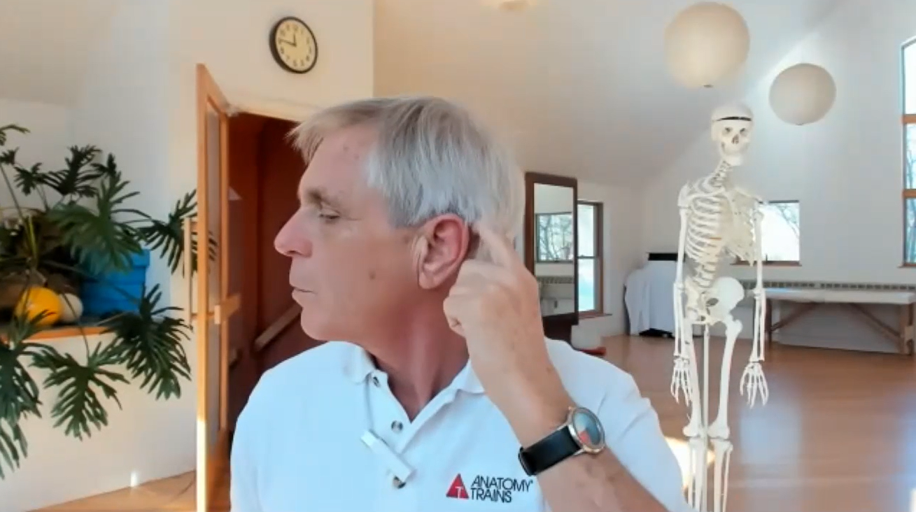 Tom Myers Superficial Front LIne Lecture 2021