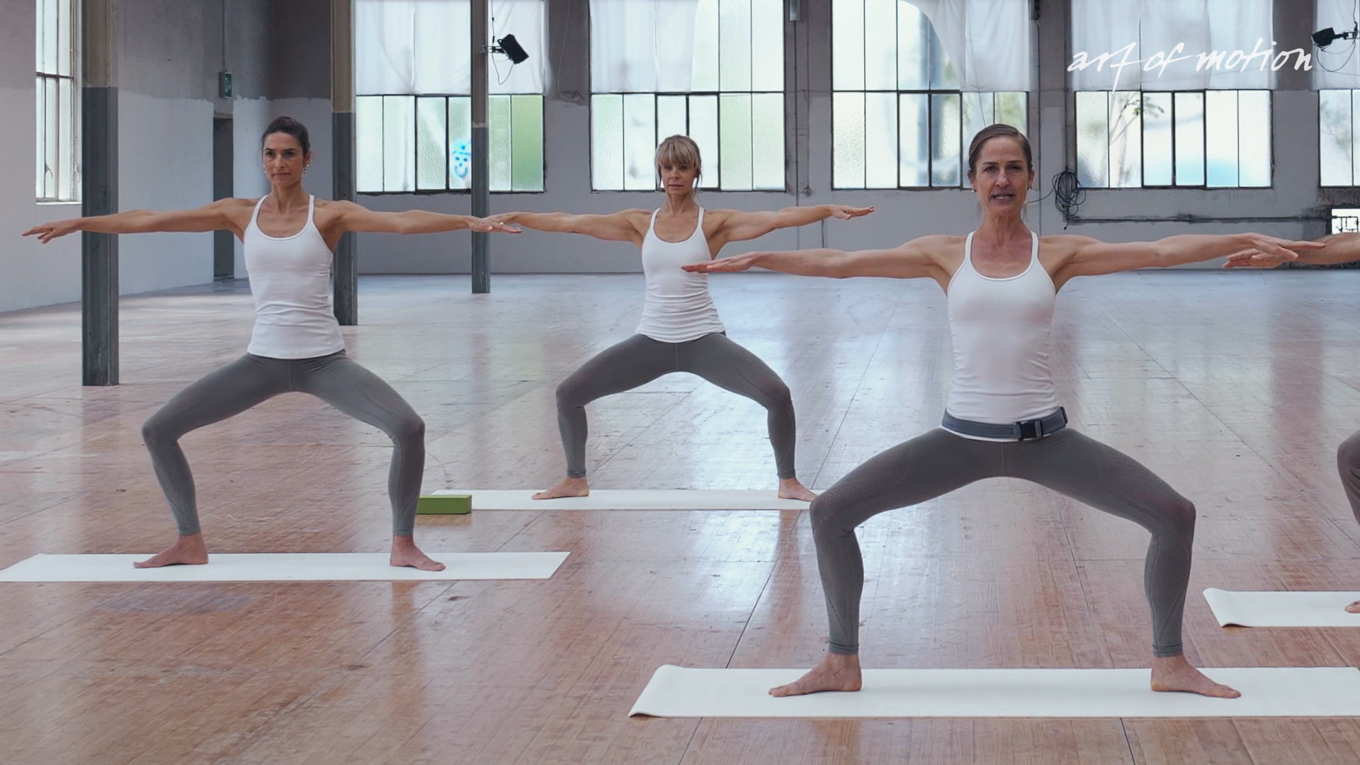 Your Daily Practice Vol 3: 1. Core Vitality and Quietude