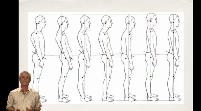 Embryology of Fascia 1: Introduction ...