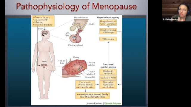 Clip from Menopause and Pelvic Health...