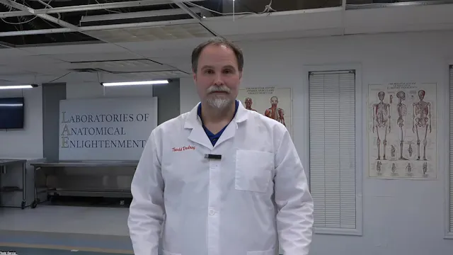 Anatomy of the Low Back