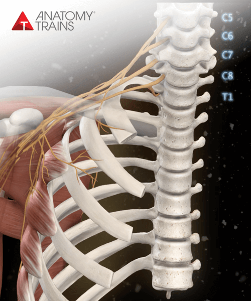 Thoracic Outlet Syndrome
