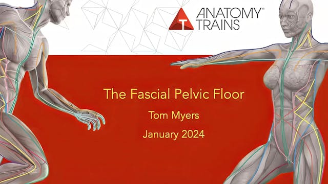 The Fascial Pelvic Floor 