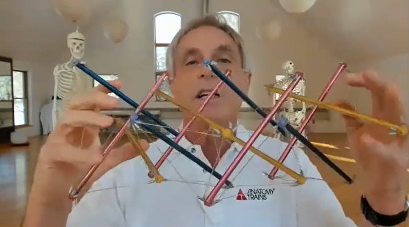 Tom Myers' Superficial Back Line Lecture 2021