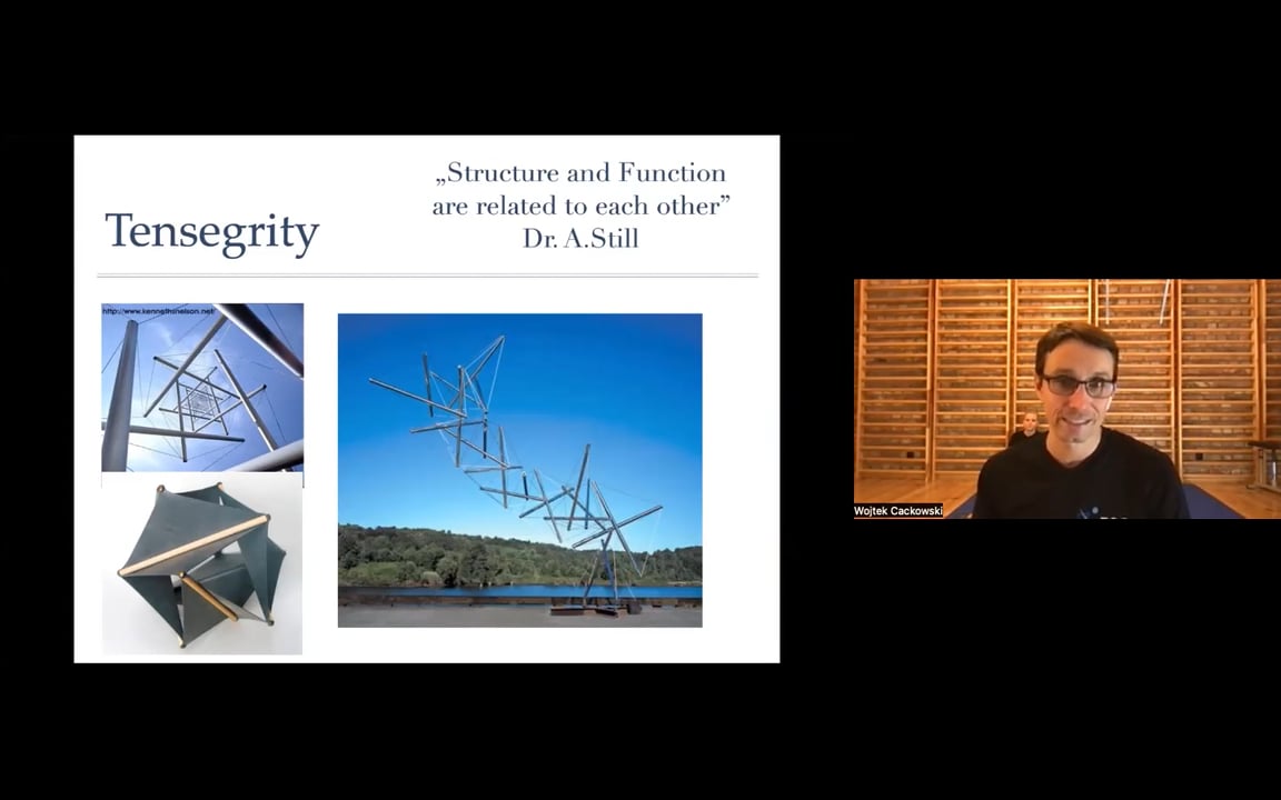 Zoga Assessment, Strategy, Manual and Movement Techniques