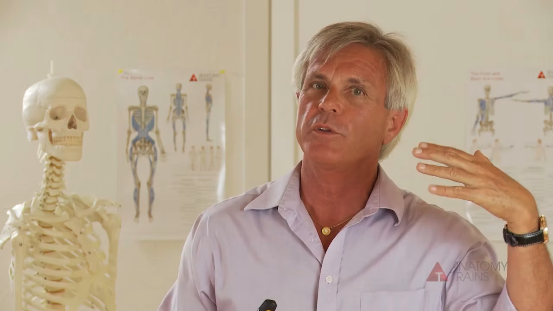 Unfolding Evolution 3 The Vertebrate Body