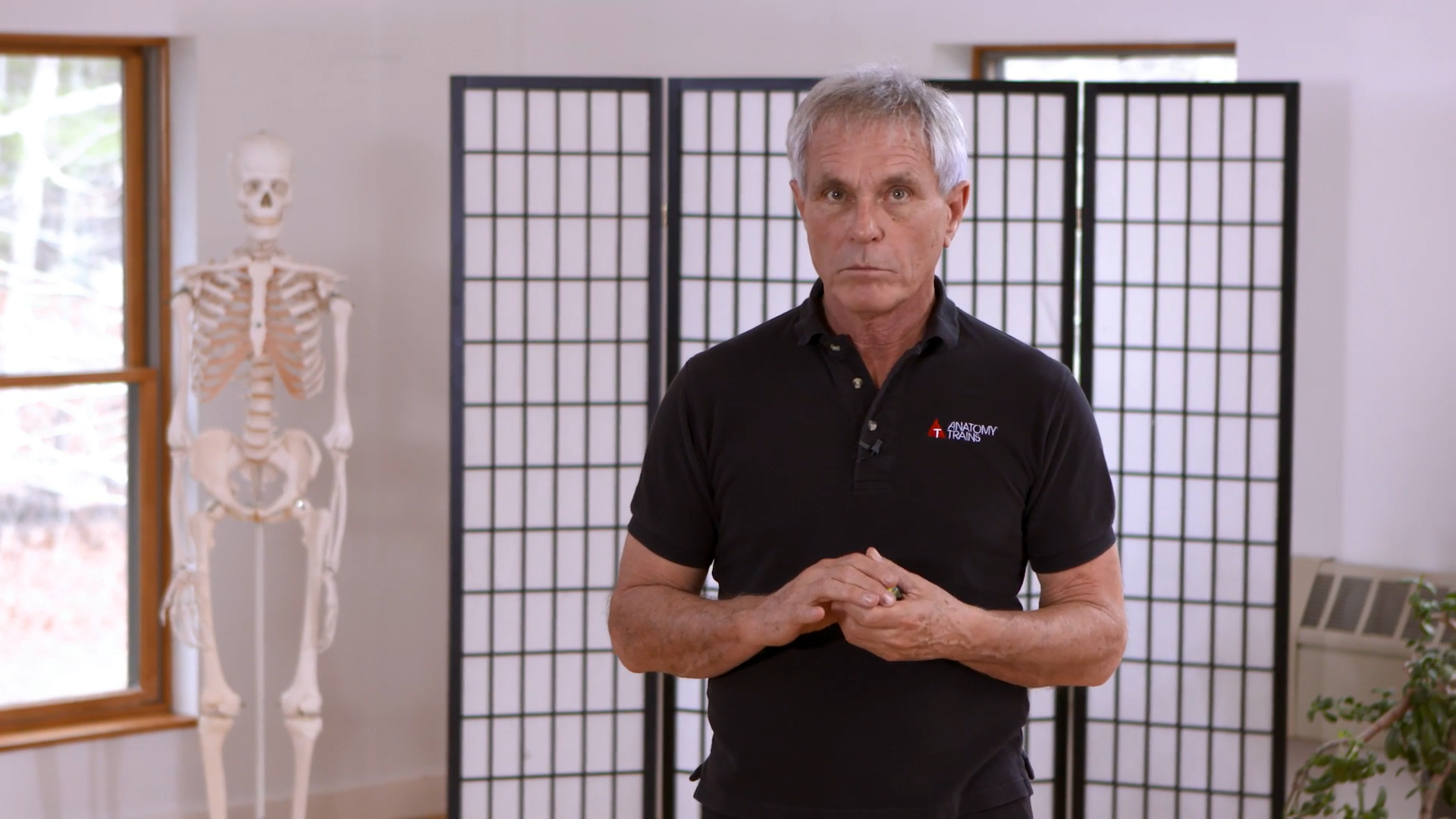 Fascia 201_11_Remodeling in Training DO NOT USE YET