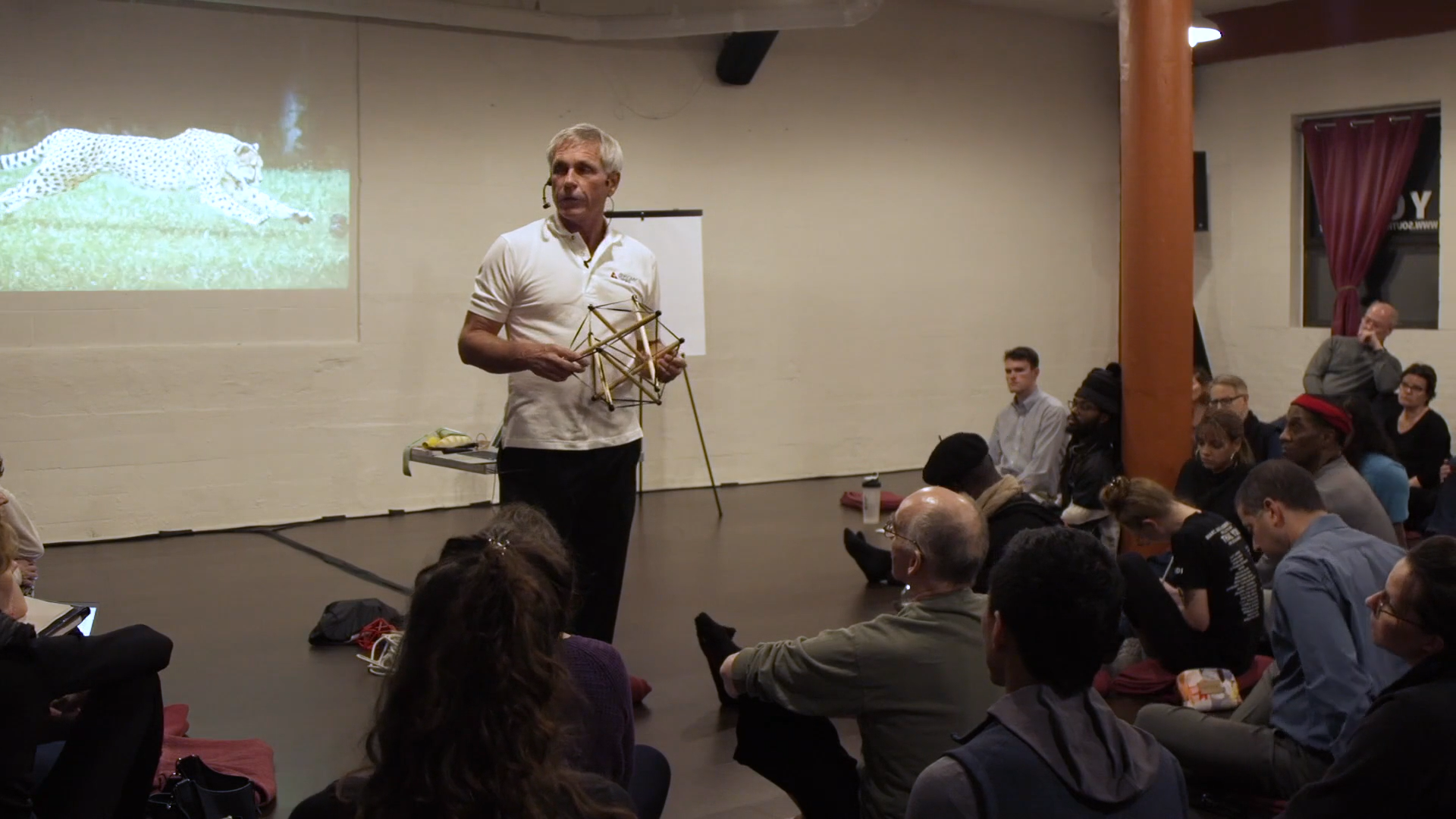 Dynamic Resilience Lecture by Tom Myers