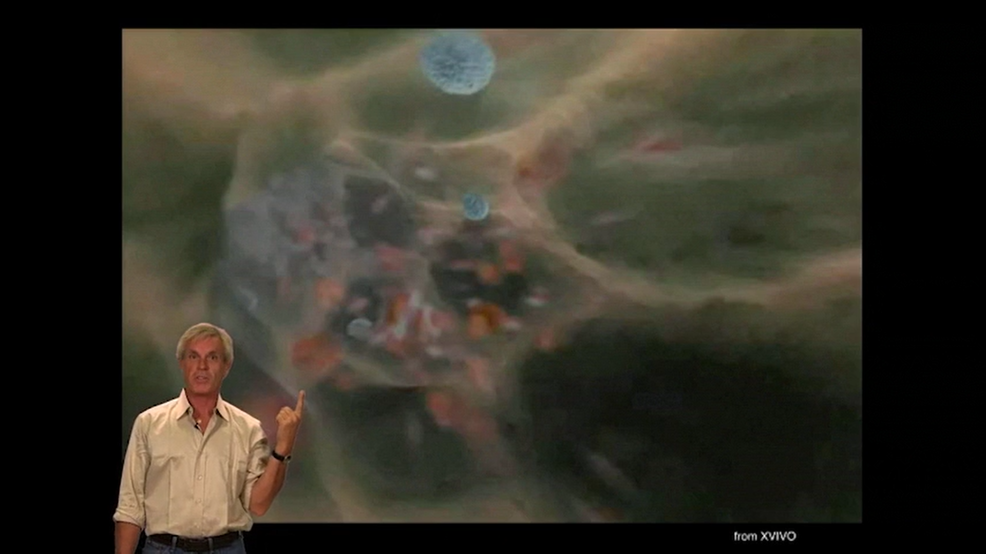 Embryology of Fascia 5: Embrology 1 - Inheritance