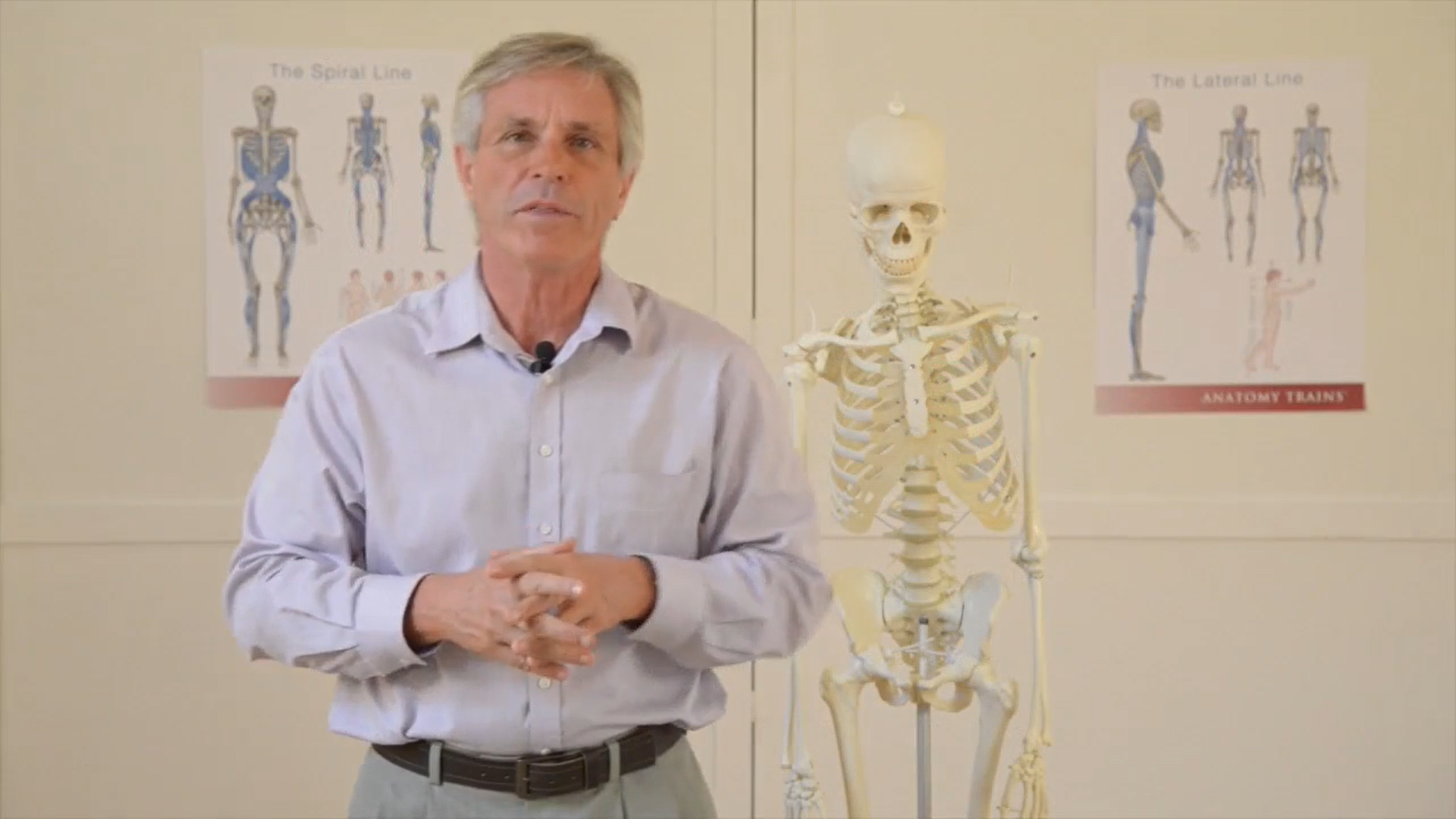 Fascia in Movement: The Essentials