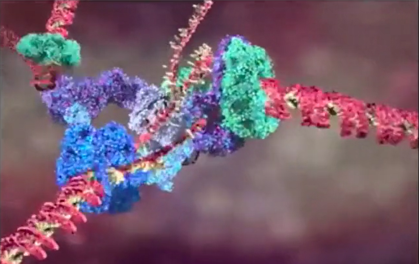 Embryology of Fascia 2: New Science of the Body 1