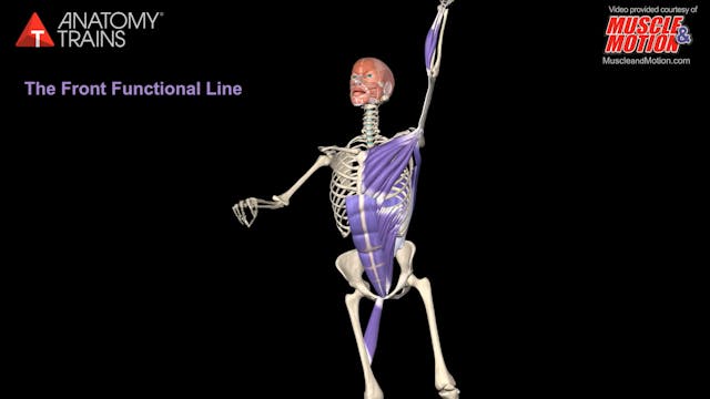 The Front Functional Line Animation