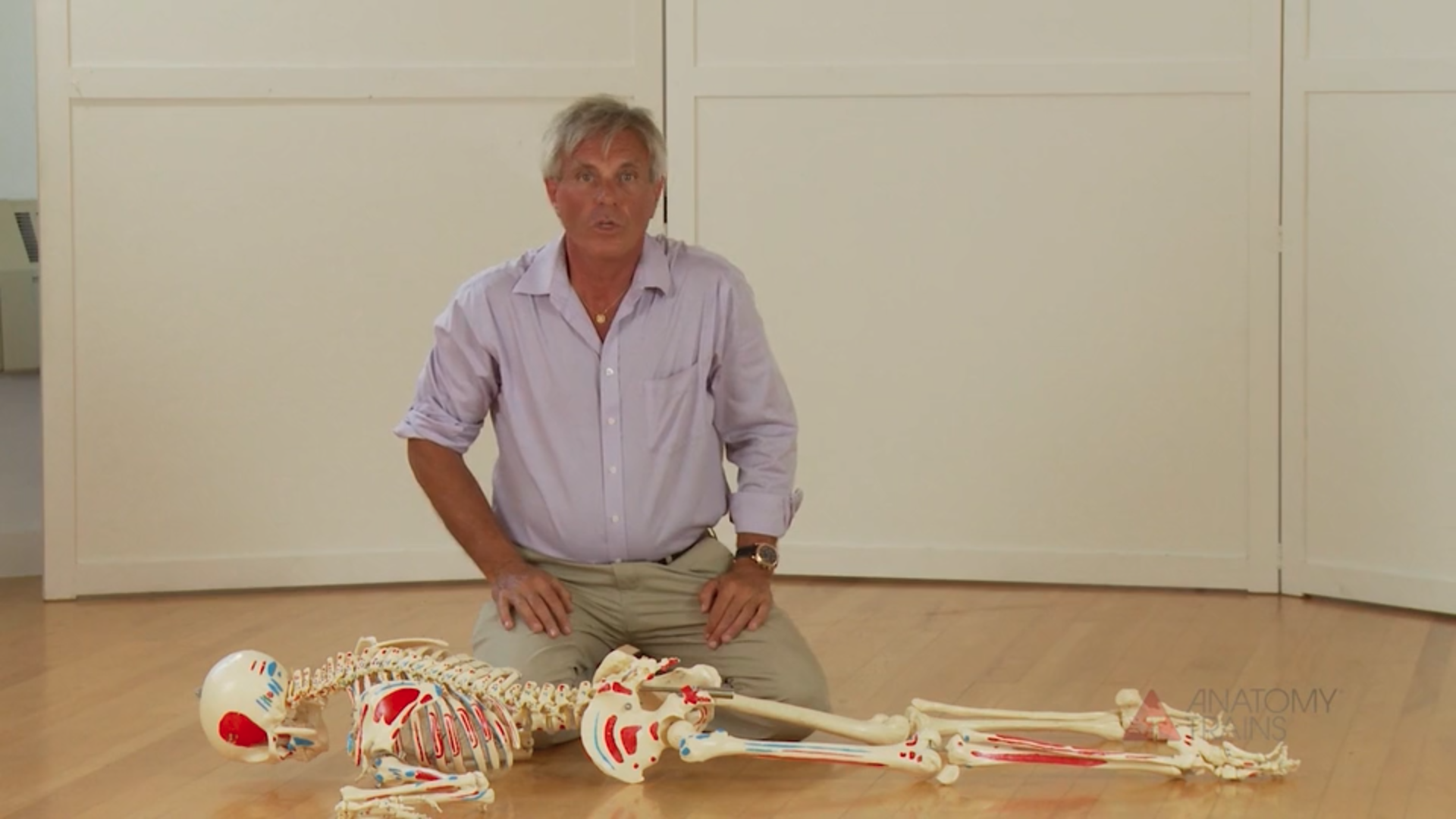 Unfolding Evolution 4 'Recent' Evolution