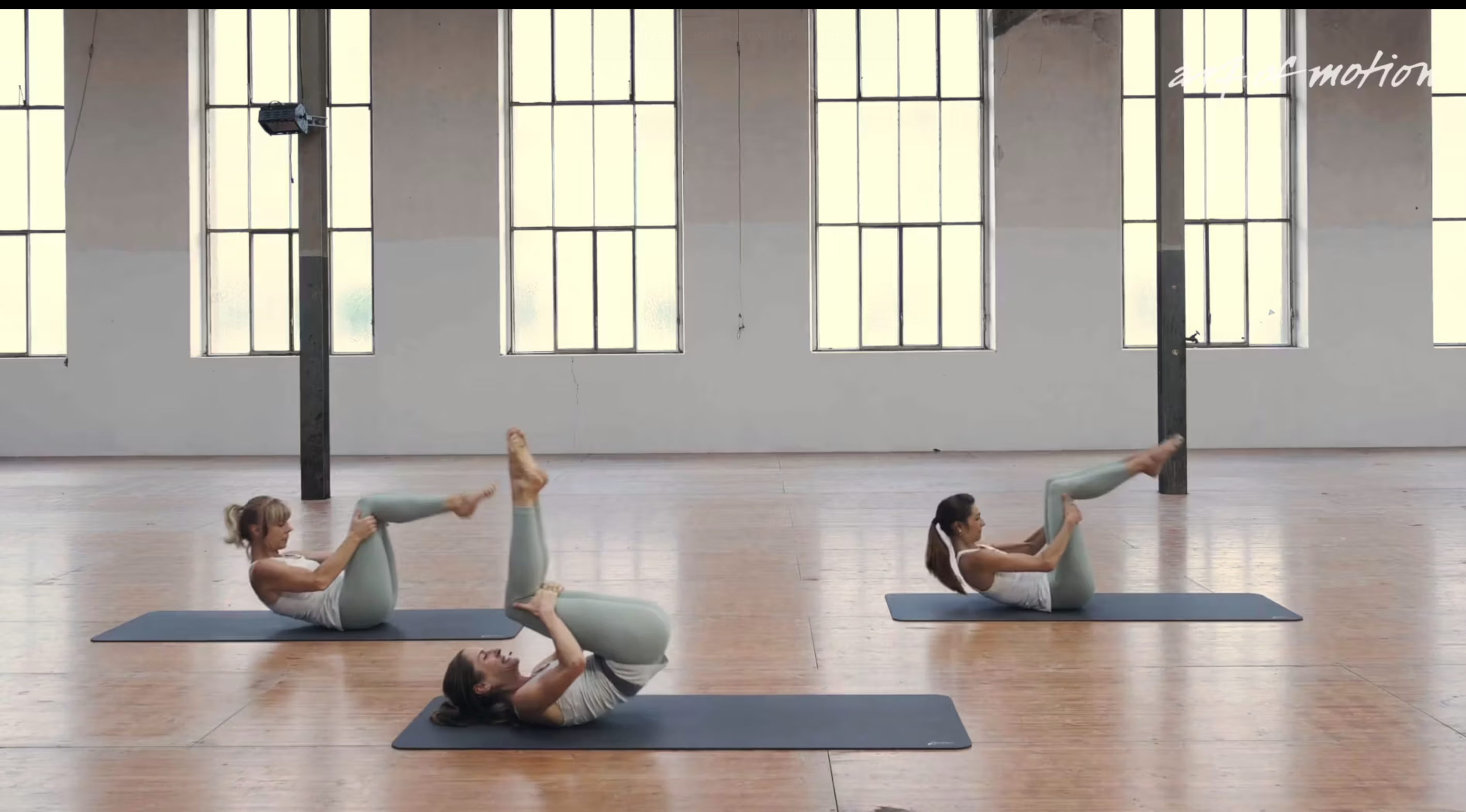 Your Daily Practice Vol 3 - Bonus Episode: 4. Absorption & Invigoration