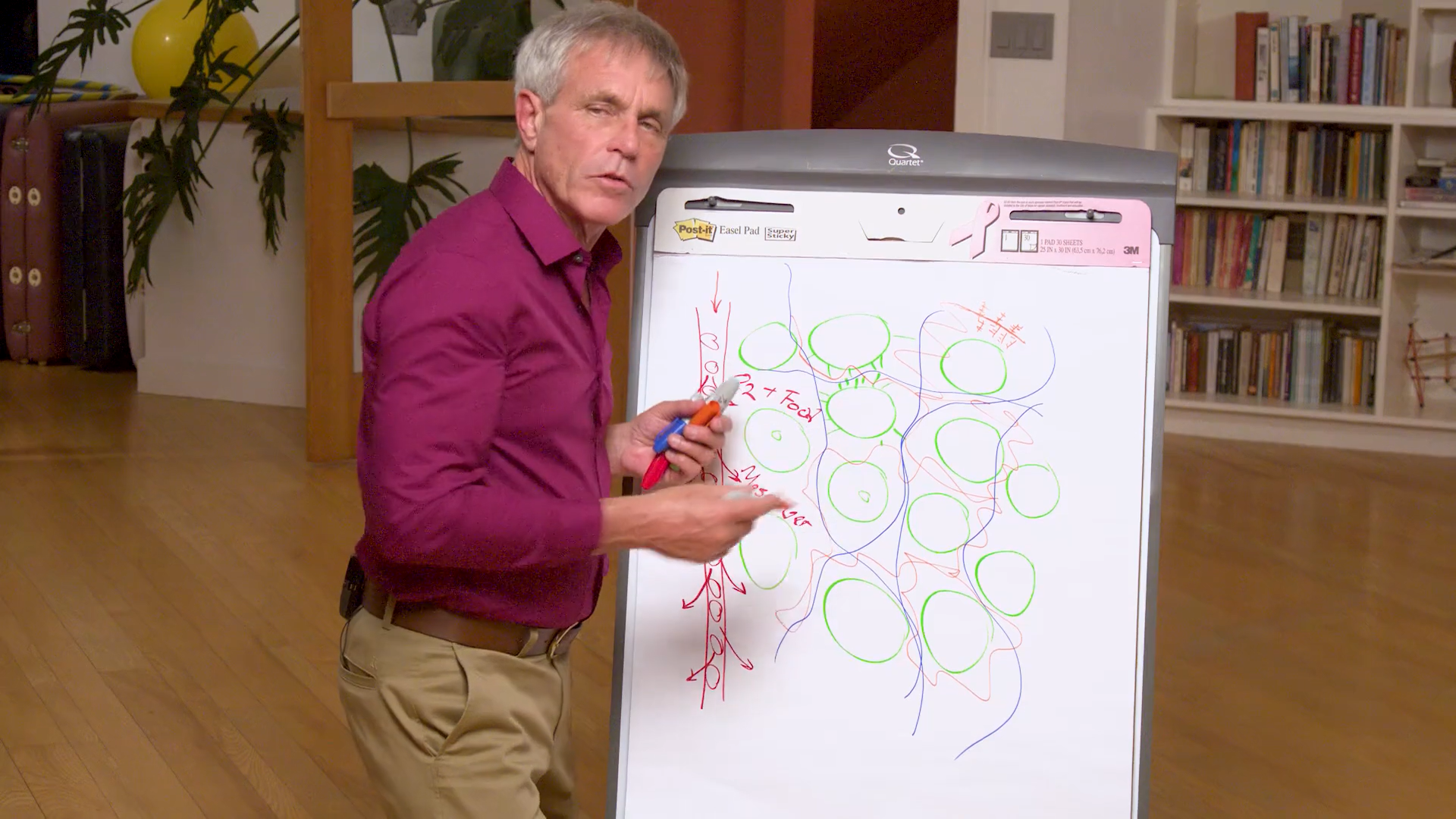 Introduction to Fascia and Biotensegrity