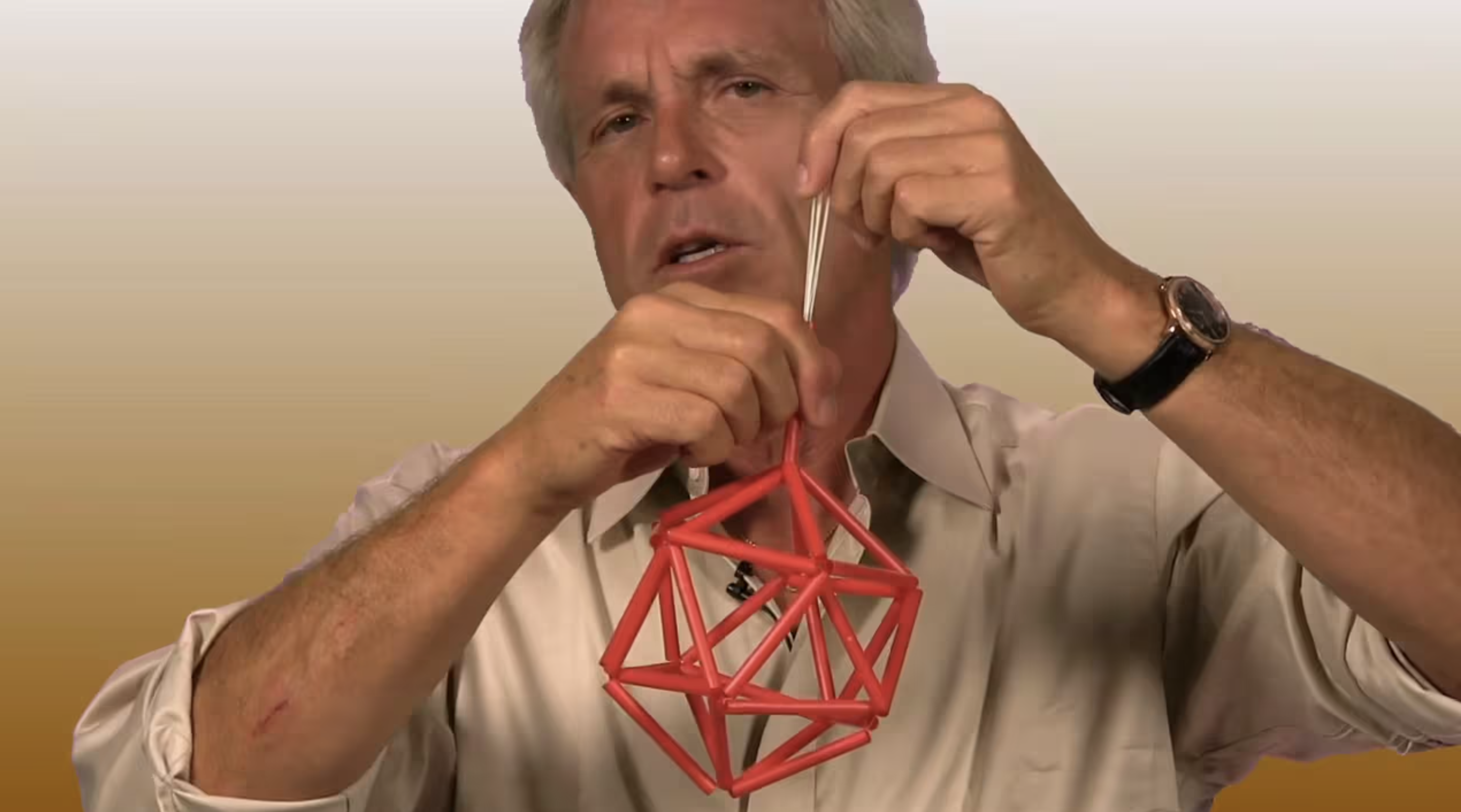 Emb 05 Cellular Tensegrity - 02m13s