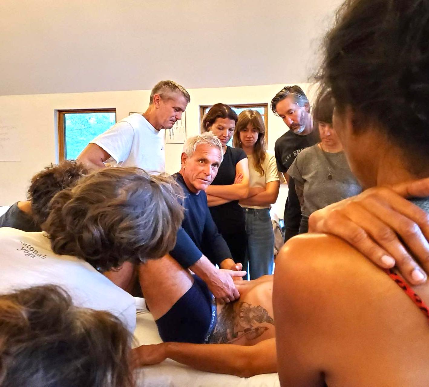 Anatomy Trains in Structure and Function Online