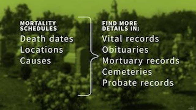 Mortality Schedules