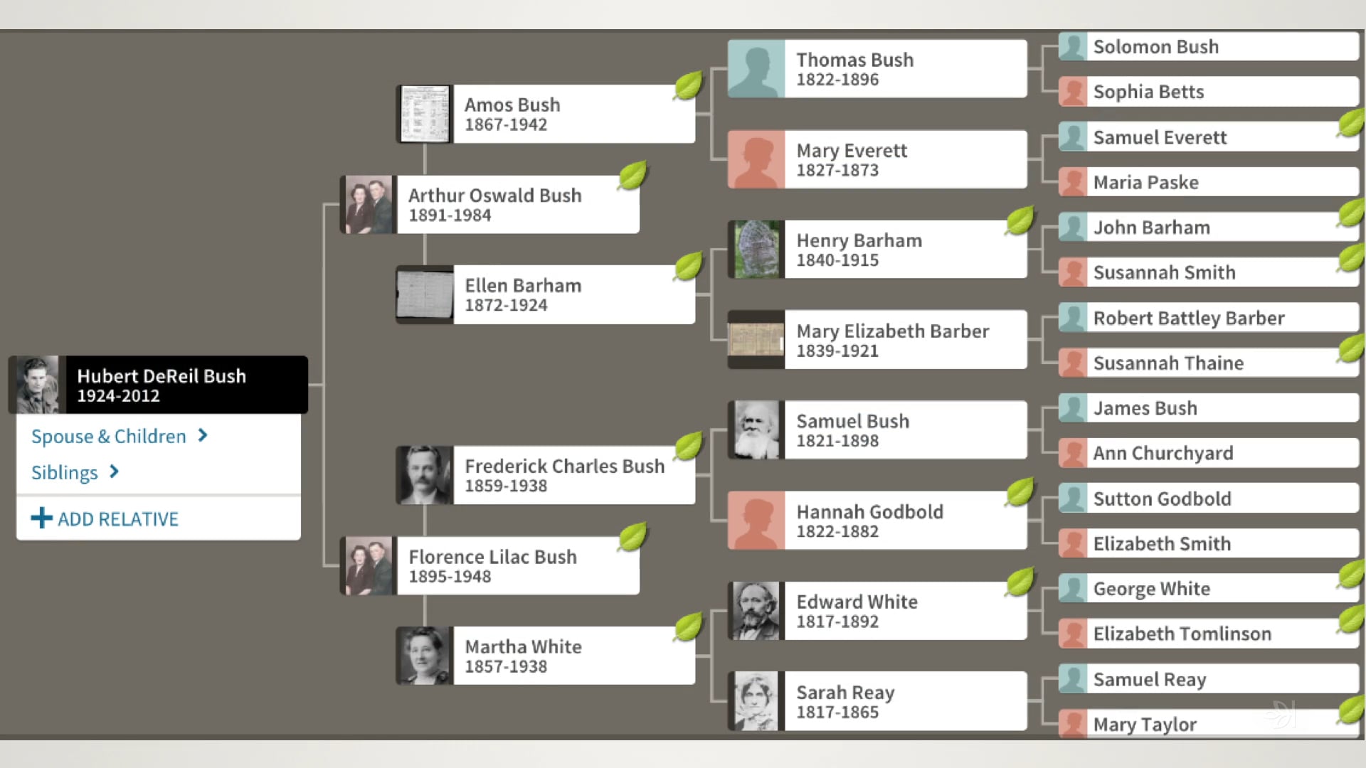 Analyzing Record and Test Results