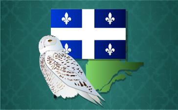 Tracing French-Canadian Ancestors and Learning Their Stories