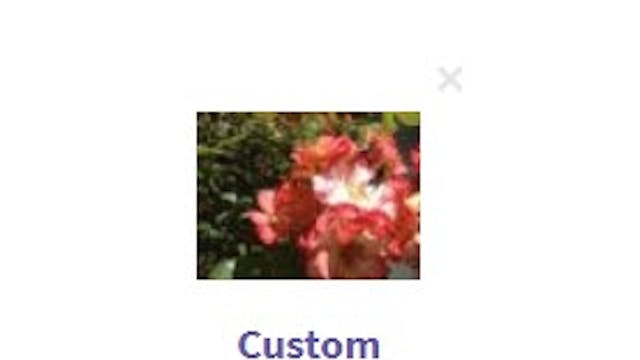 Leaving Virtual Flowers For People In...