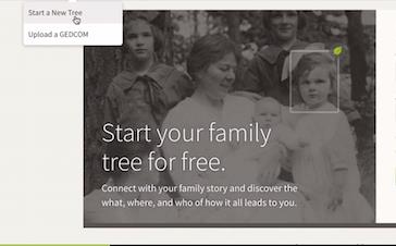 Starting Your Family Tree