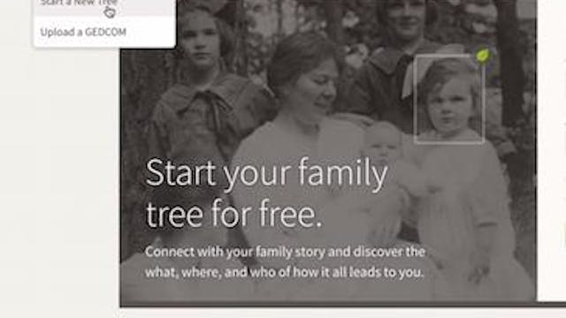 Starting Your Family Tree