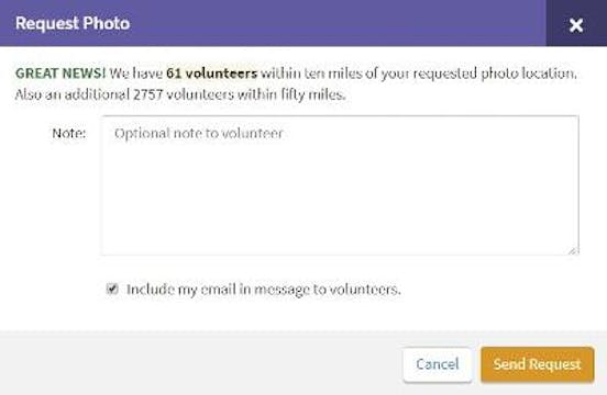 What If There Isn't A Photo of the Gr...