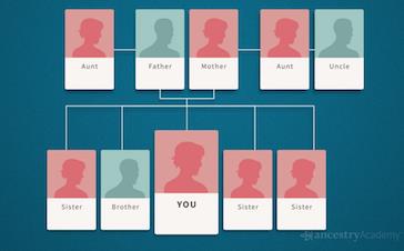 Waiting for DNA Results? Start Your Tree Now!