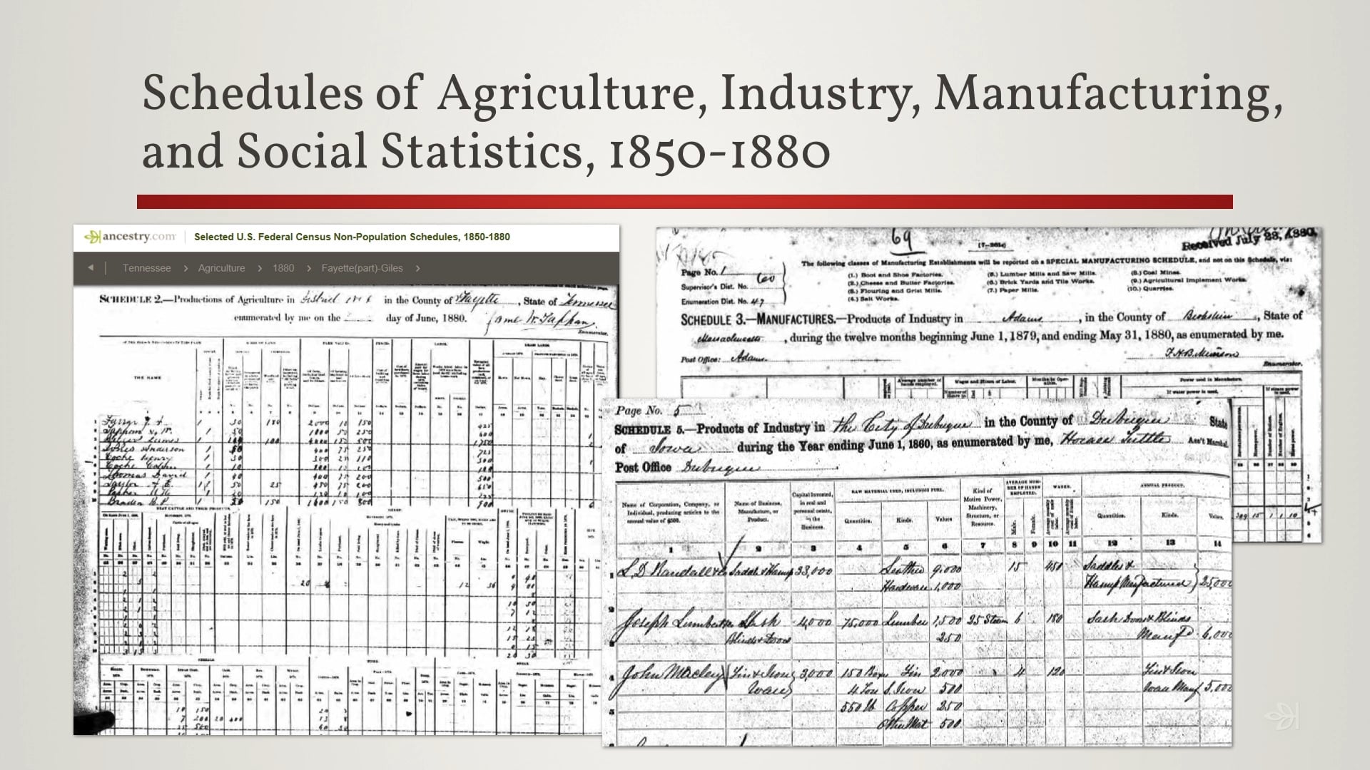 Federal Census Treasures