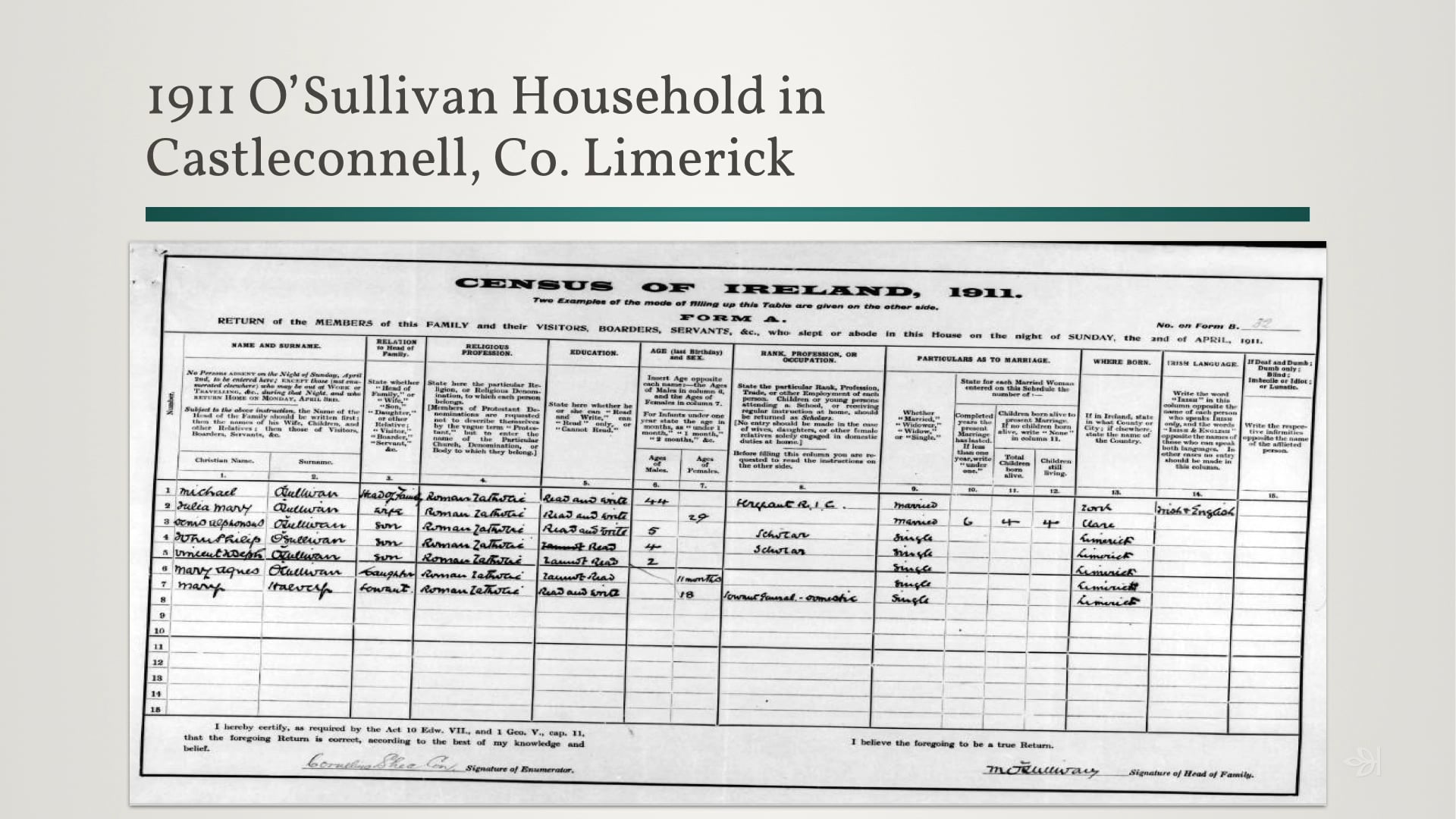 Irish Census Records: Clues in the 1911 Census