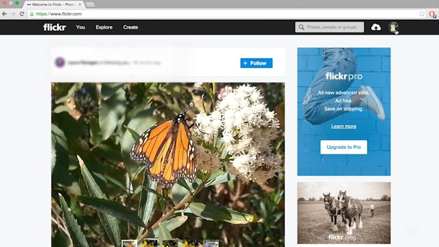 Using Flickr