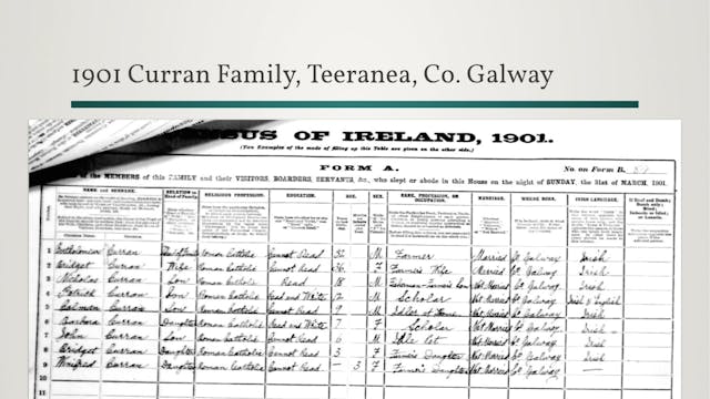 Irish Census Records