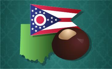 The Buckeye State: Researching Your Ohio Ancestors
