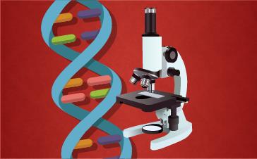 Behind the Scenes: The Science Behind AncestryDNA Results