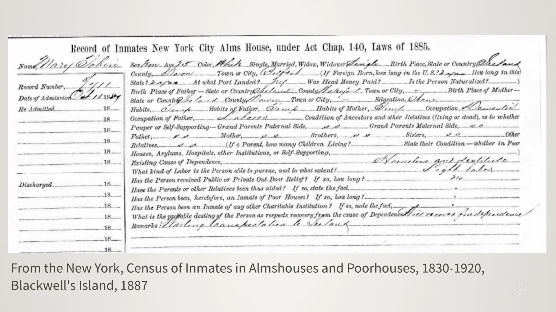 Research the Whole Family