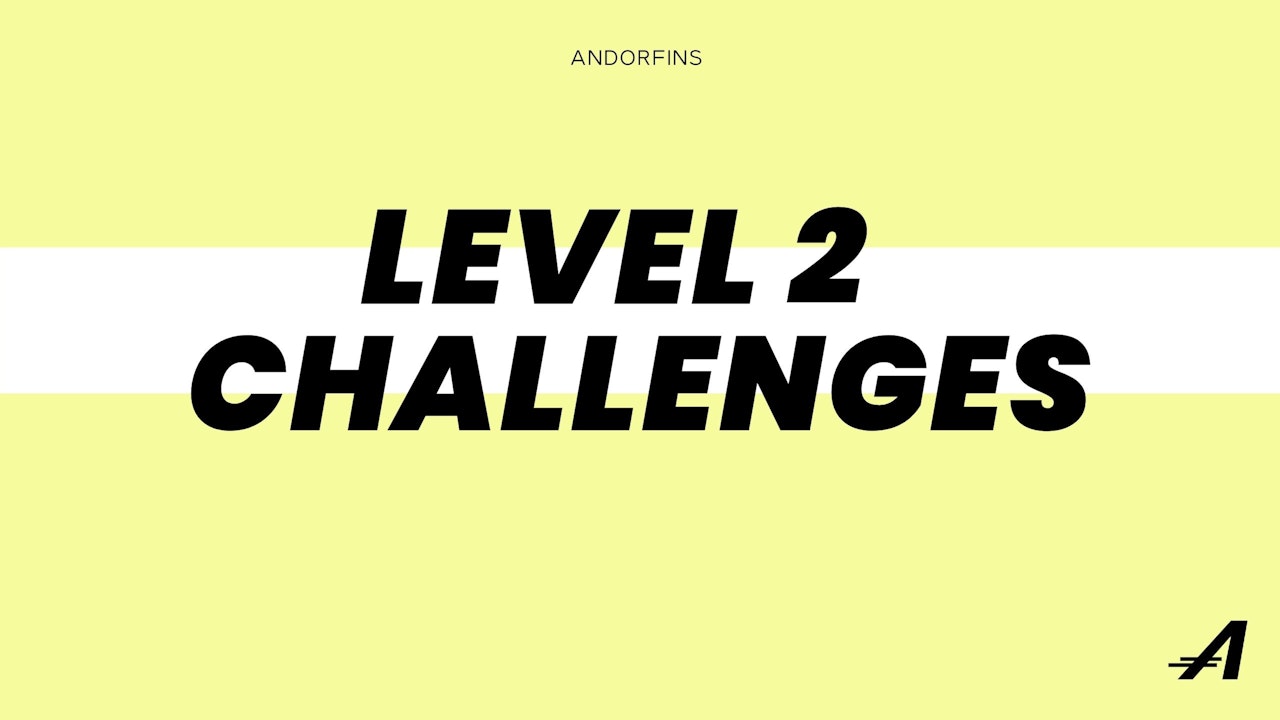 LEVEL 2 CHALLENGES