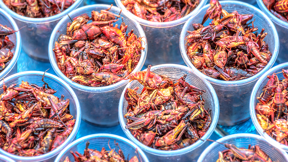 I couldn't bring myself to try it