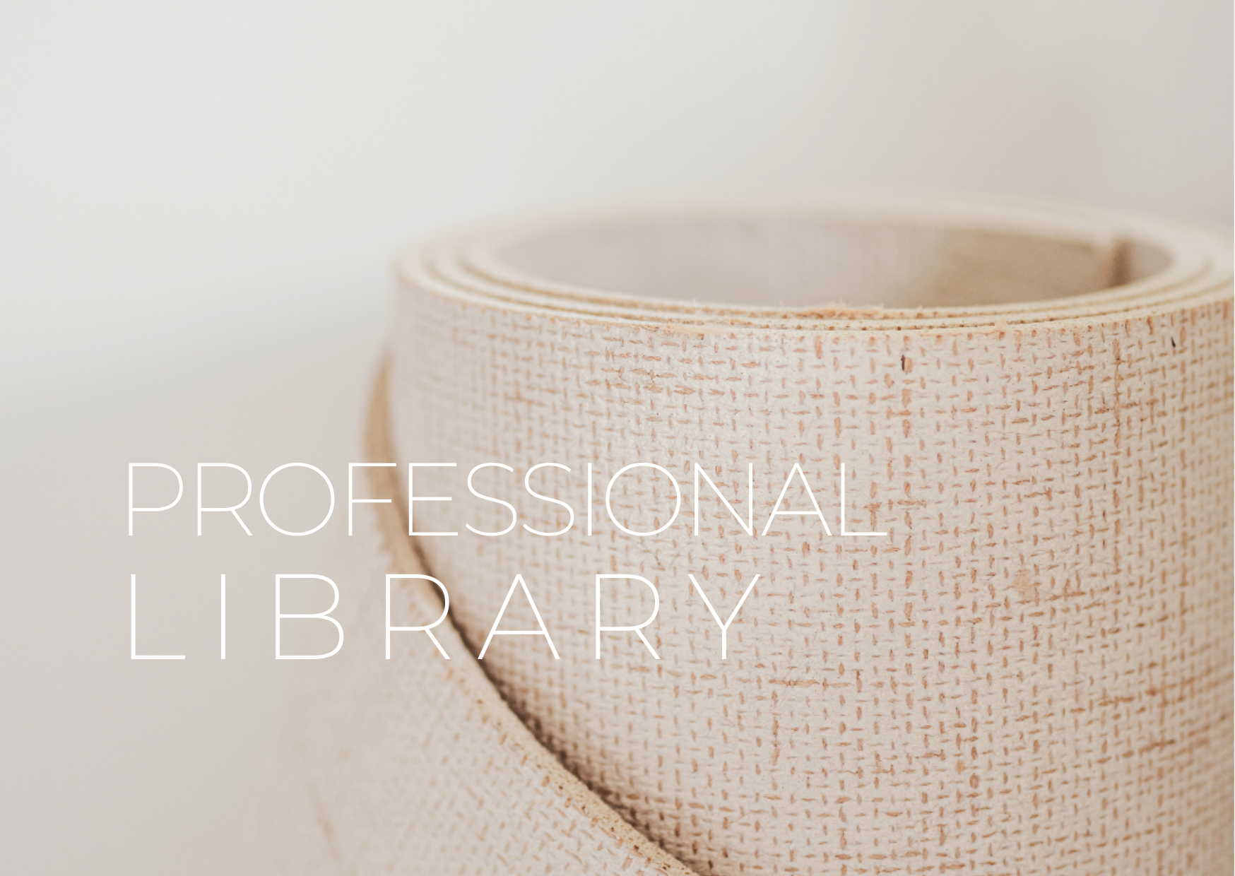 PROFESSIONAL LIBRARY