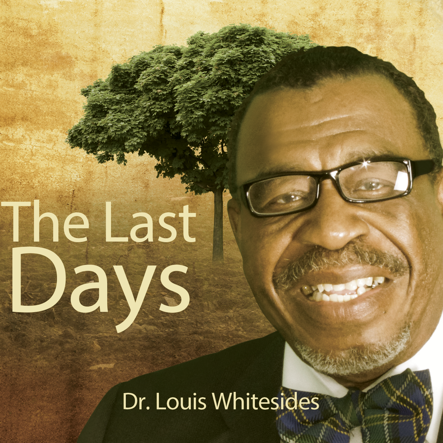 The Last Days Series