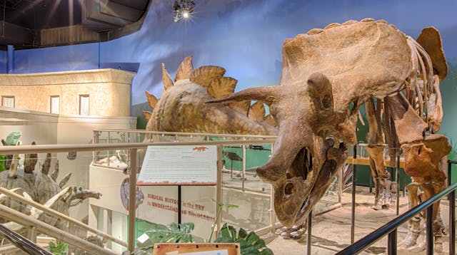 03 Six Days to Create