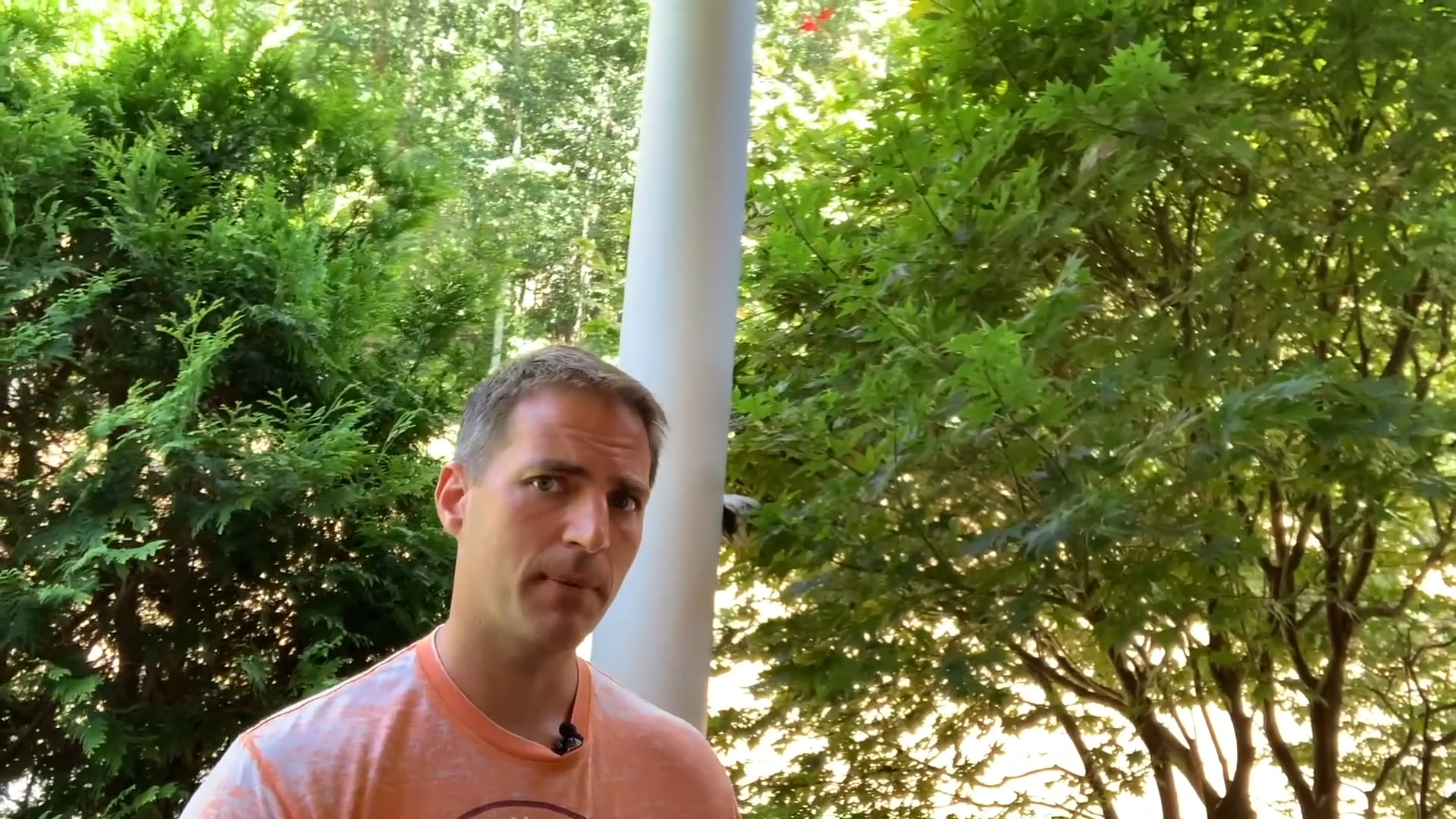 Jesus Cares for the Sick