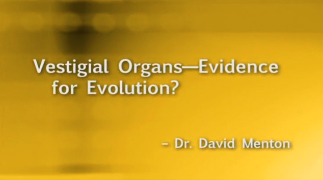Vestigial organs - Evidence for Evolution?