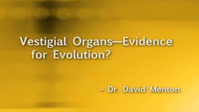 Vestigial Organs—Evidence for Evolution?