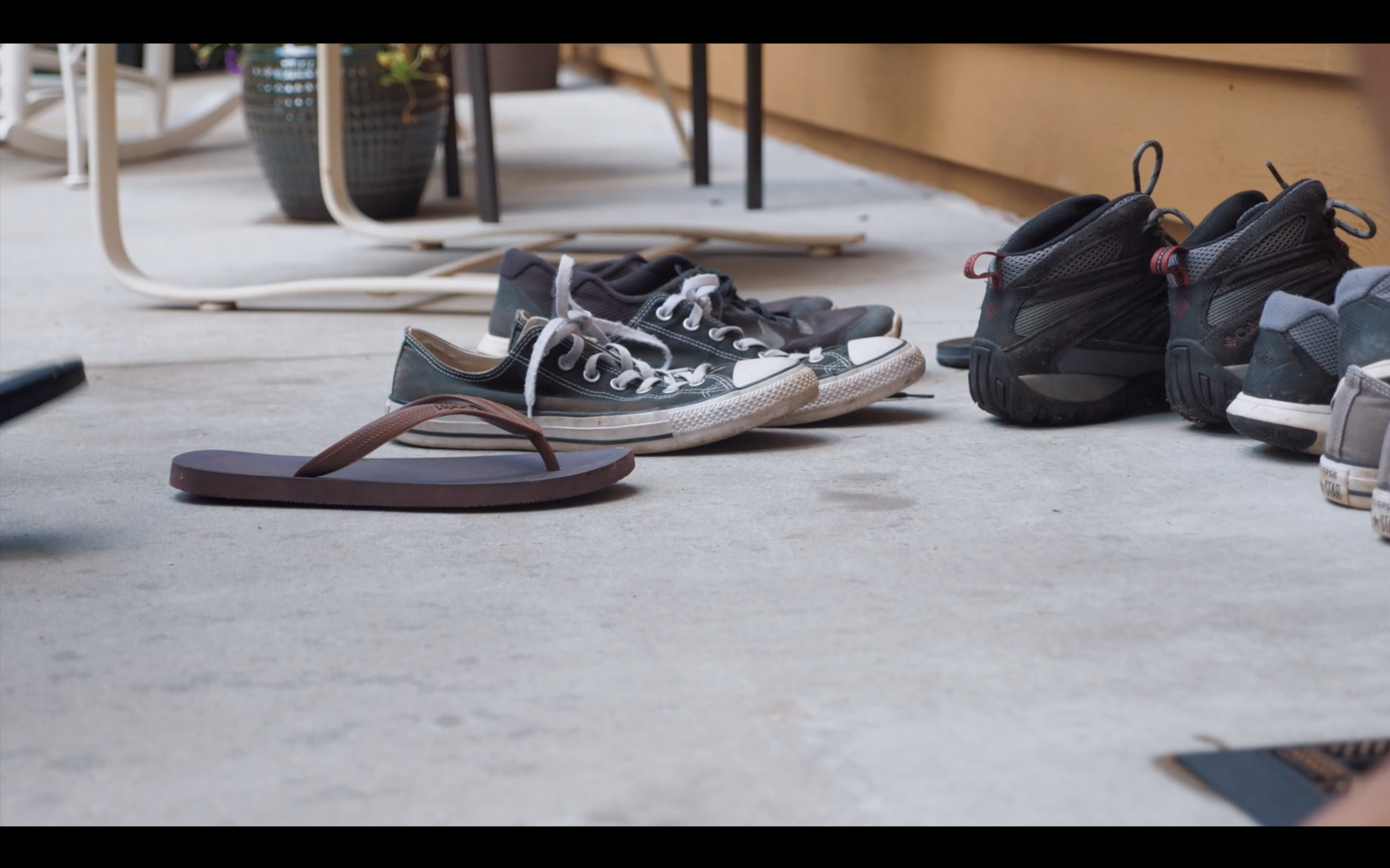 S3E7 Finding Flipper