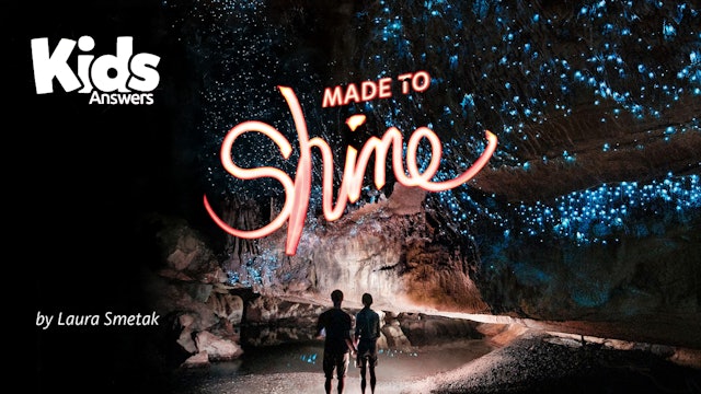 Made to Shine (Kids Answers Audio Article)