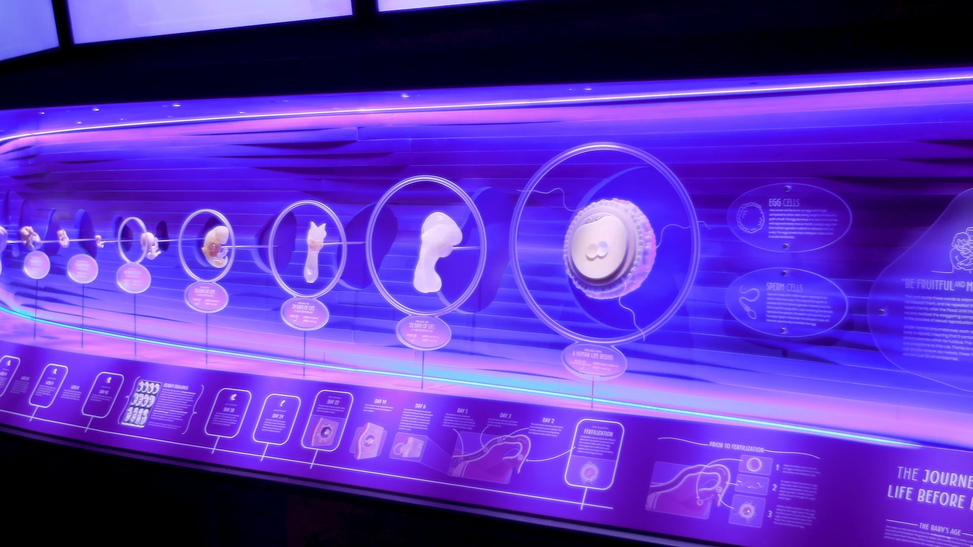 S1E45 Fearfully and Wonderfully Made Walkthrough