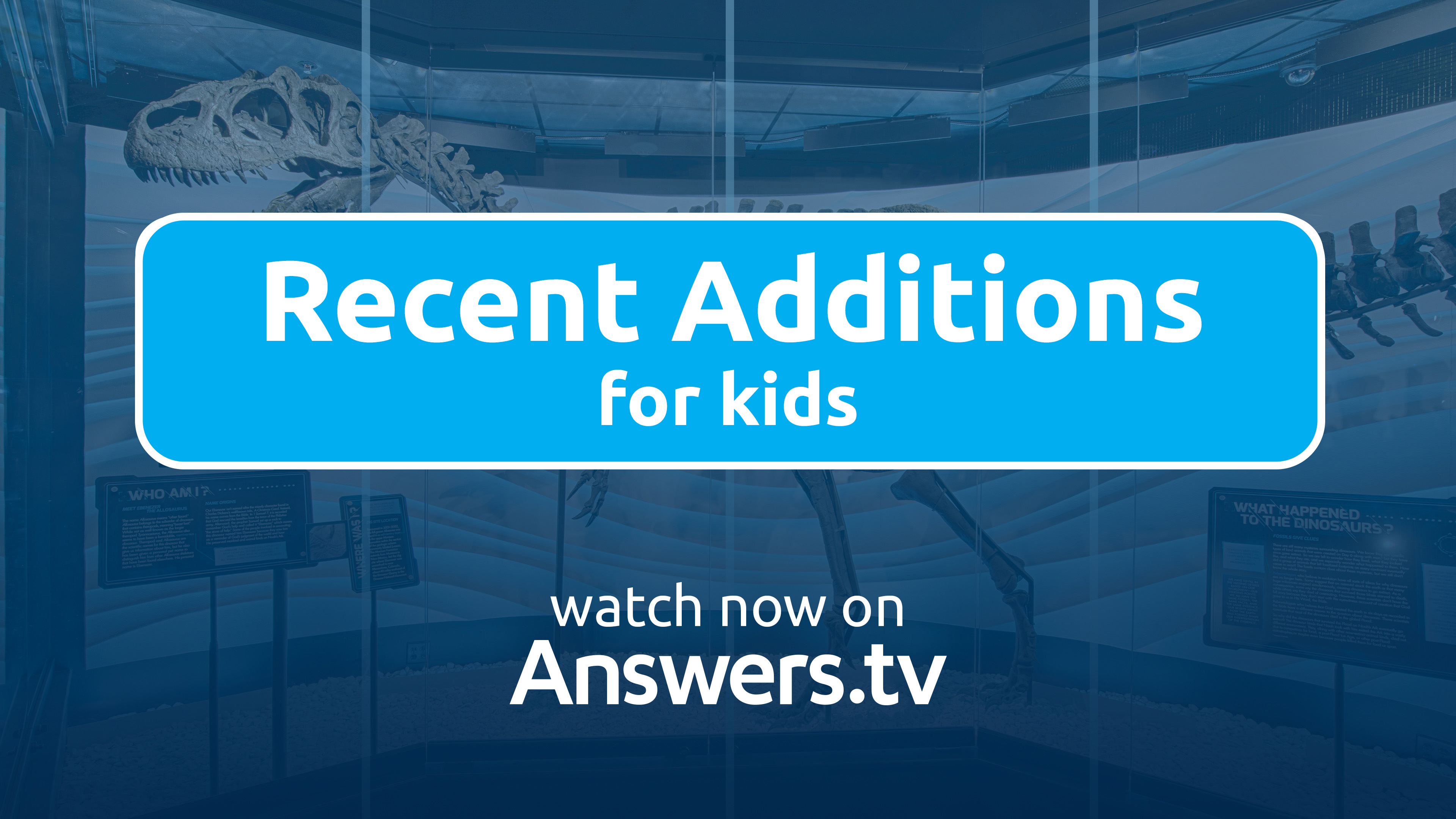 Recent Additions for Kids