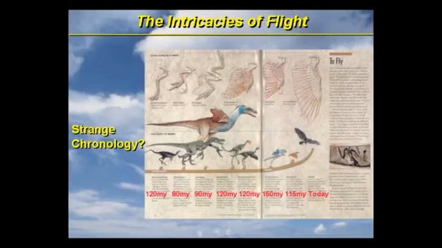 Intricacies of Flight, Part 3